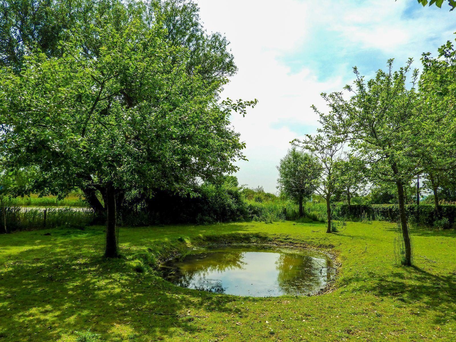 VZ197 Vakantiewoning Oostkapelle
