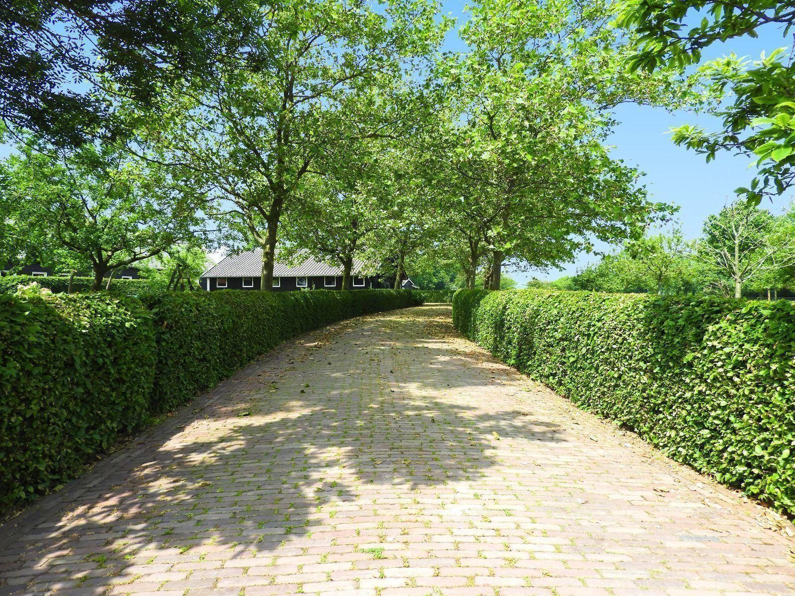 VZ197 Vakantiewoning Oostkapelle