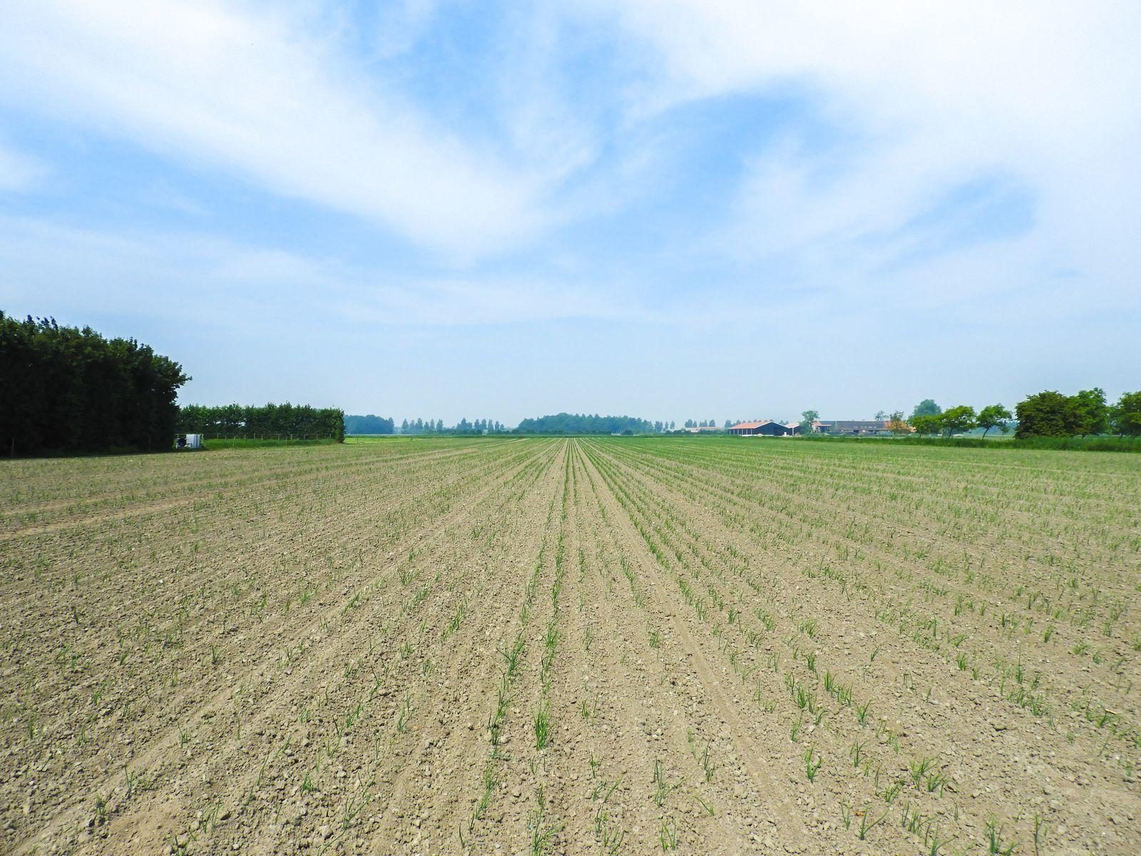 VZ197 Vakantiewoning Oostkapelle