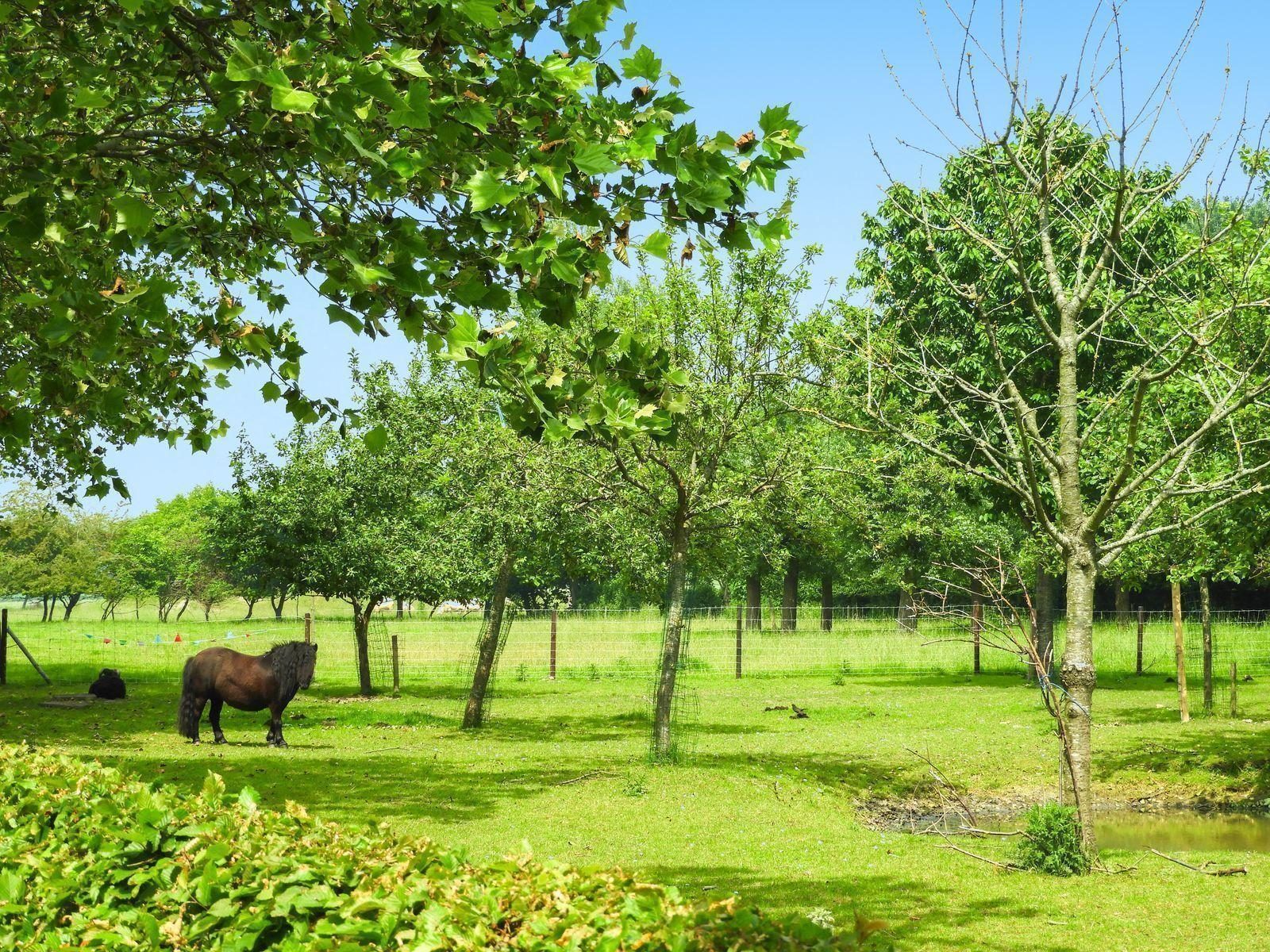 VZ243 Groepsaccommodatie Oostkapelle
