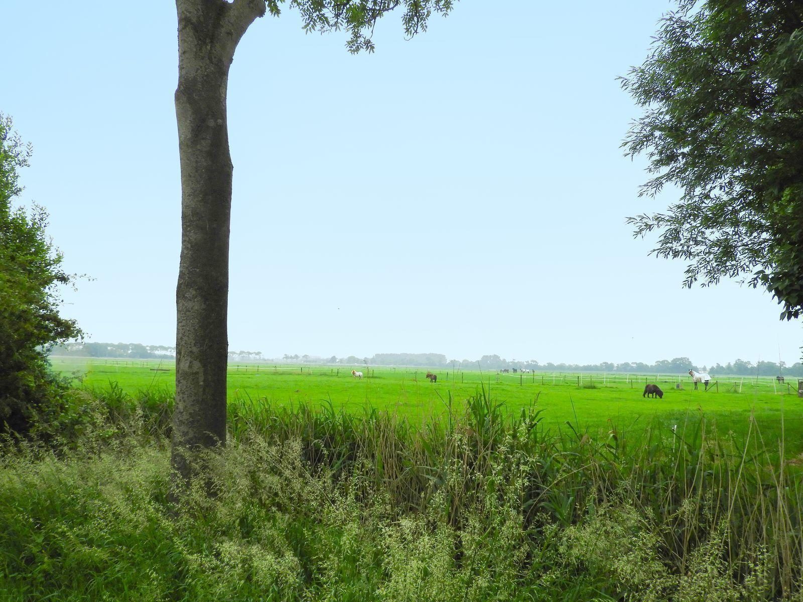 VZ241 Groepsaccommodatie Koudekerke