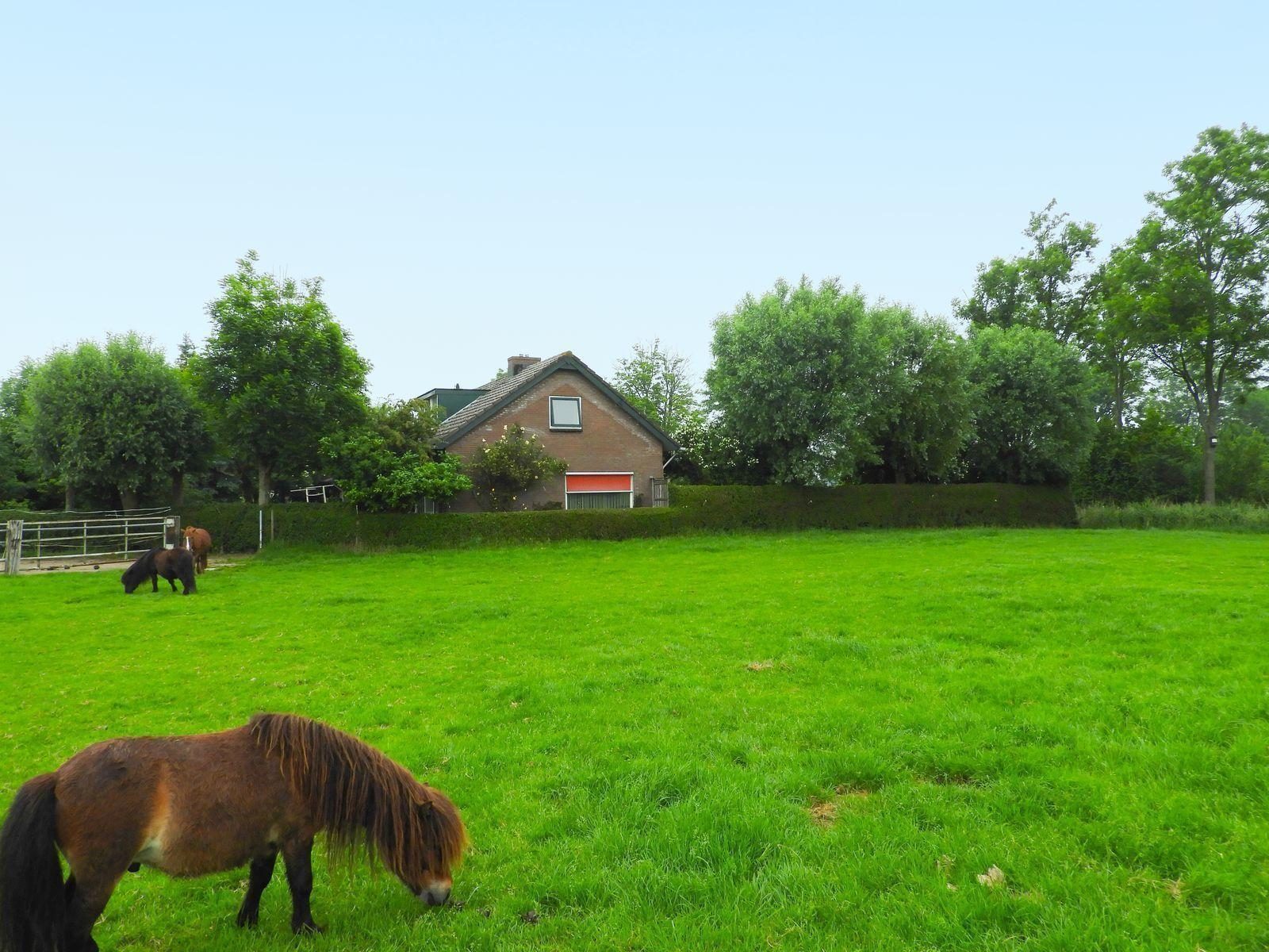 VZ241 Groepsaccommodatie Koudekerke