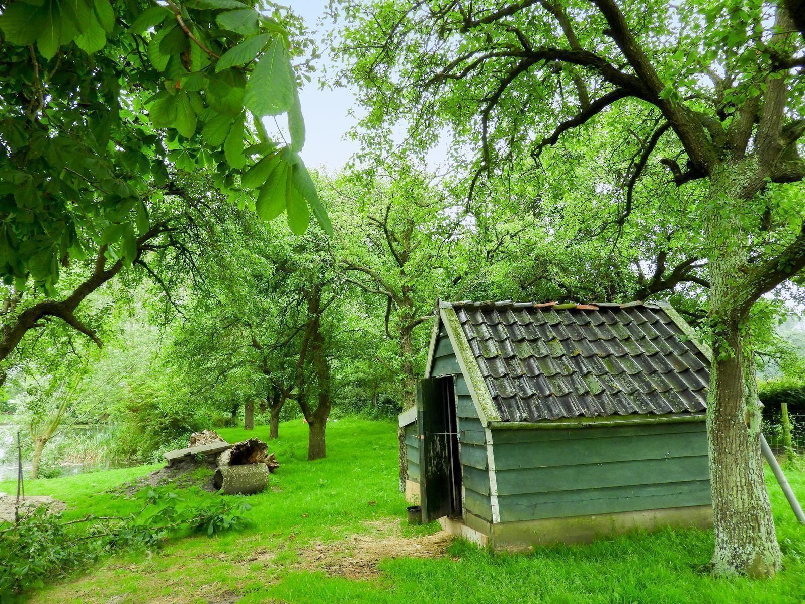 VZ646 Ferienhaus Grijpskerke