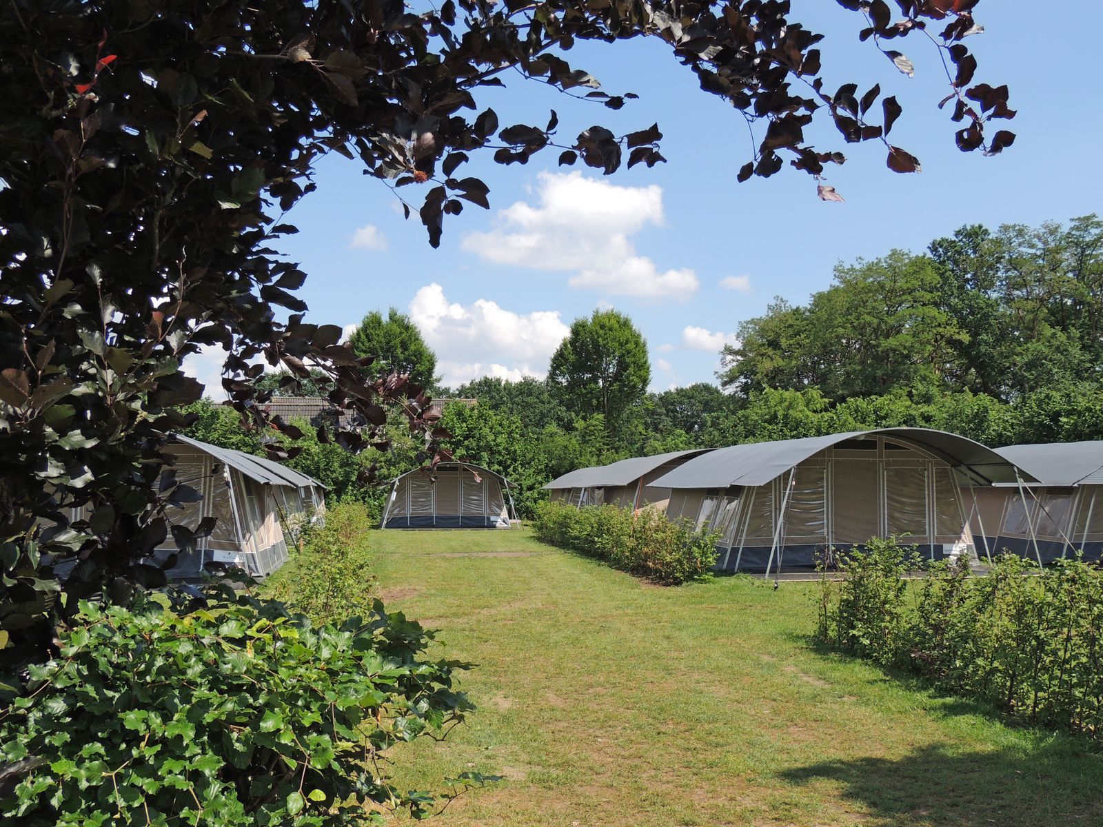 4-persoons Lodgetent