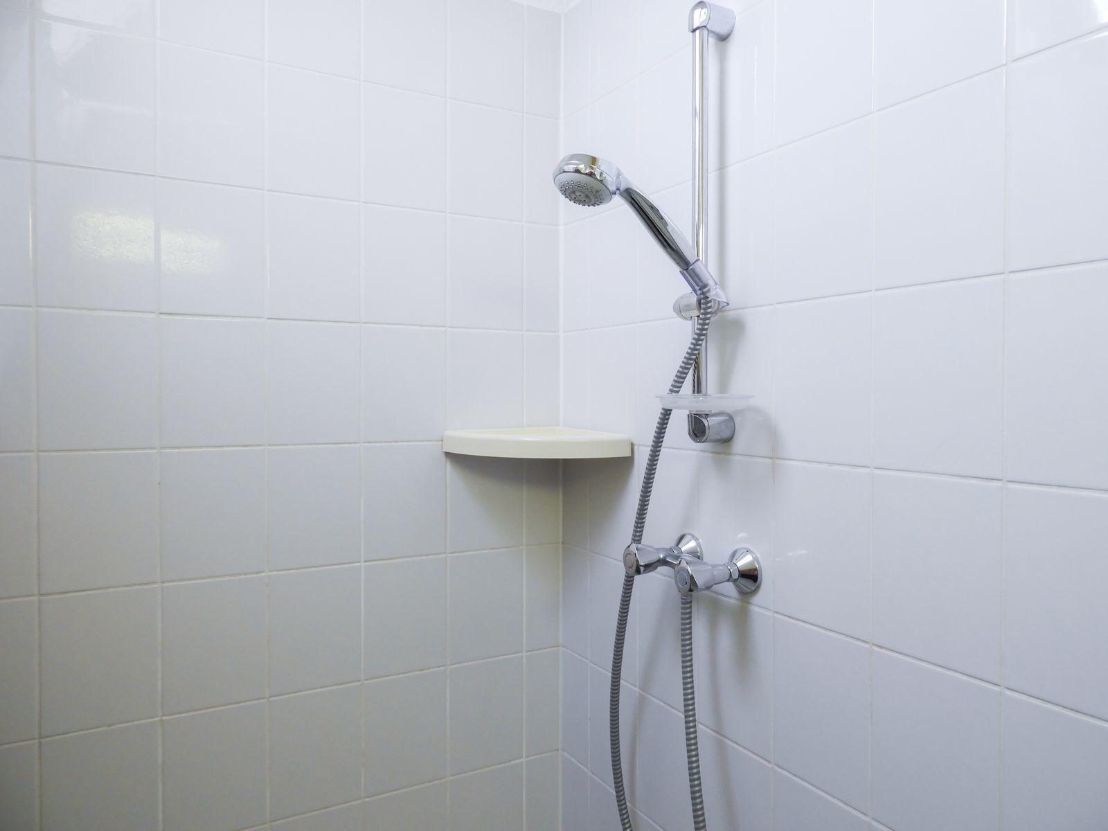 VZ195 Vakantievilla Wemeldinge