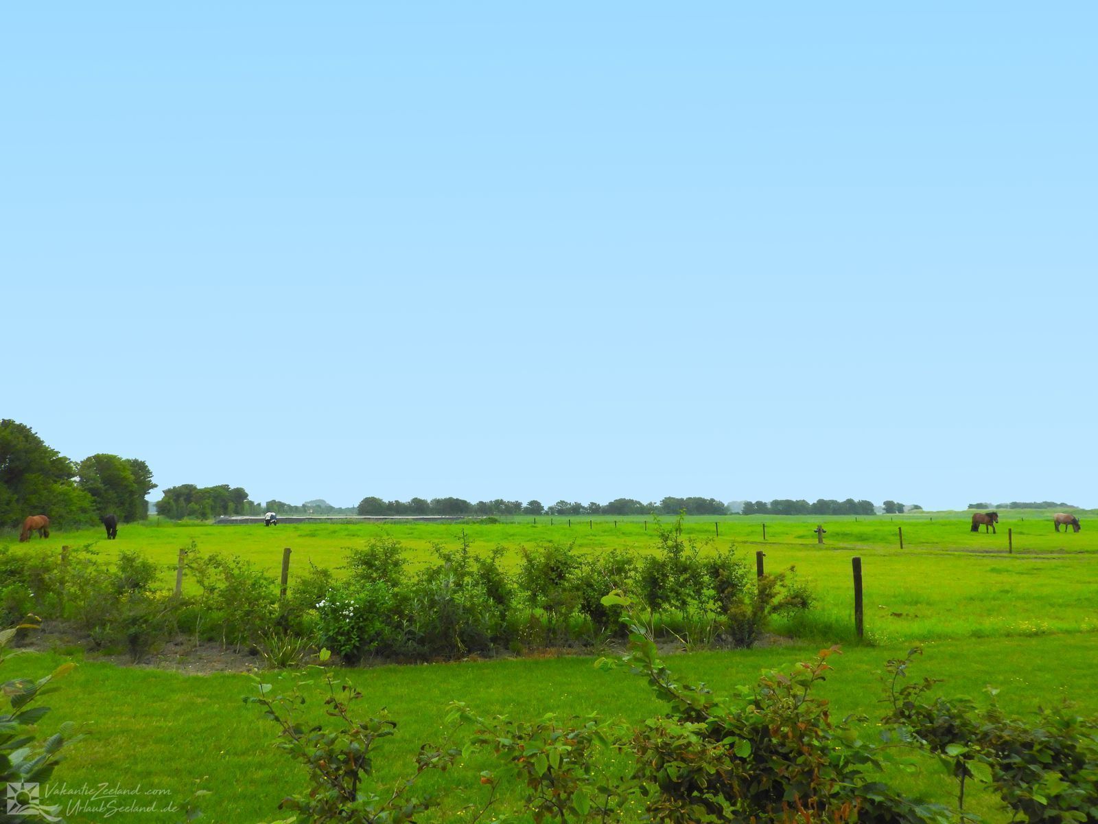 VZ471 Vakantiewoning Veere