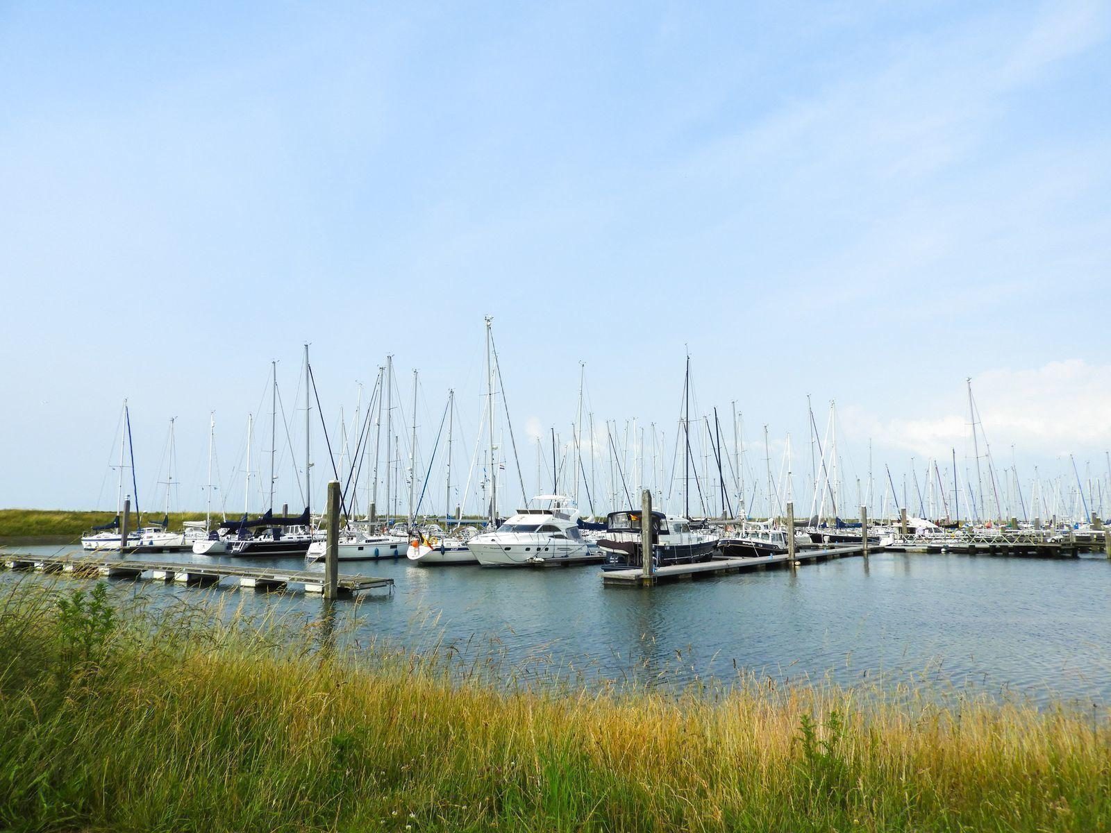 VZ151 vakantiewoning met Zwembad Colijnsplaat