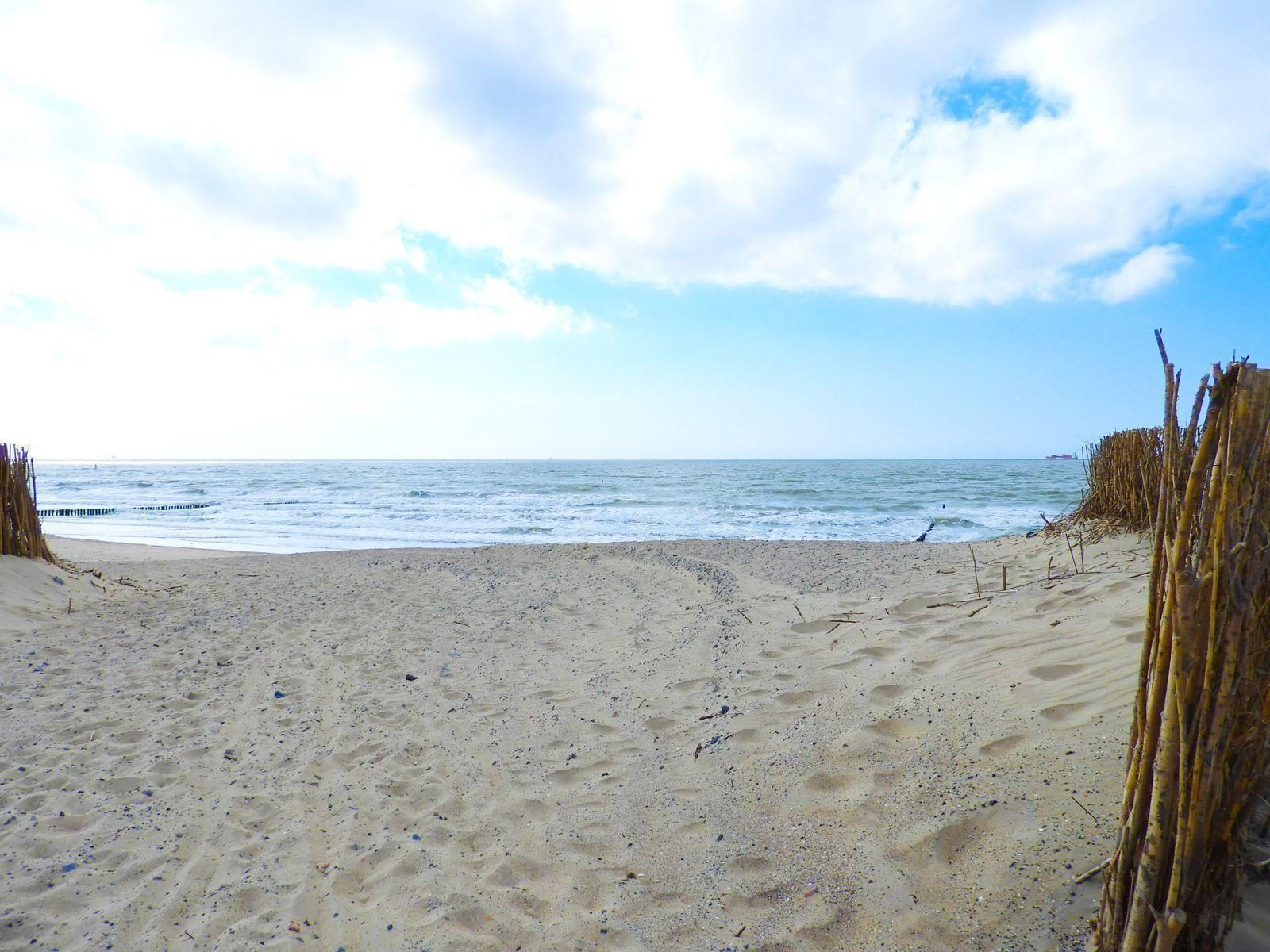 VZ329 Appartement Cadzand