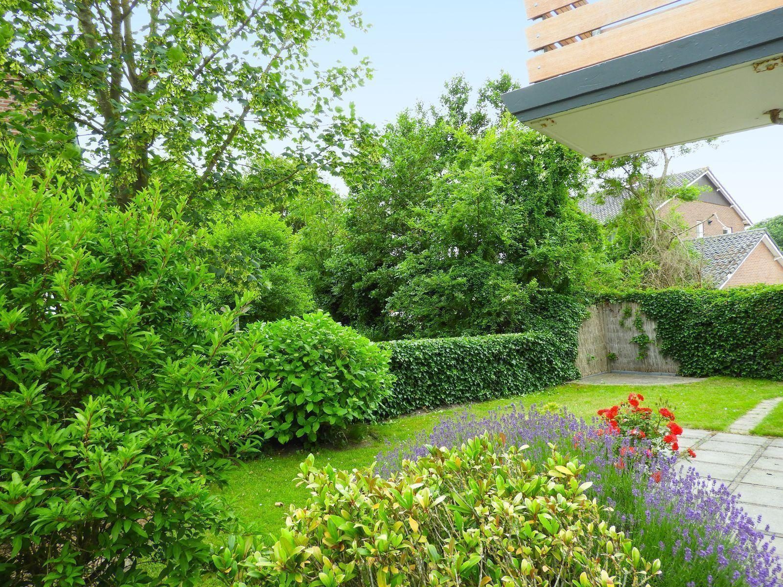 VZ420 Vakantieappartement Cadzand