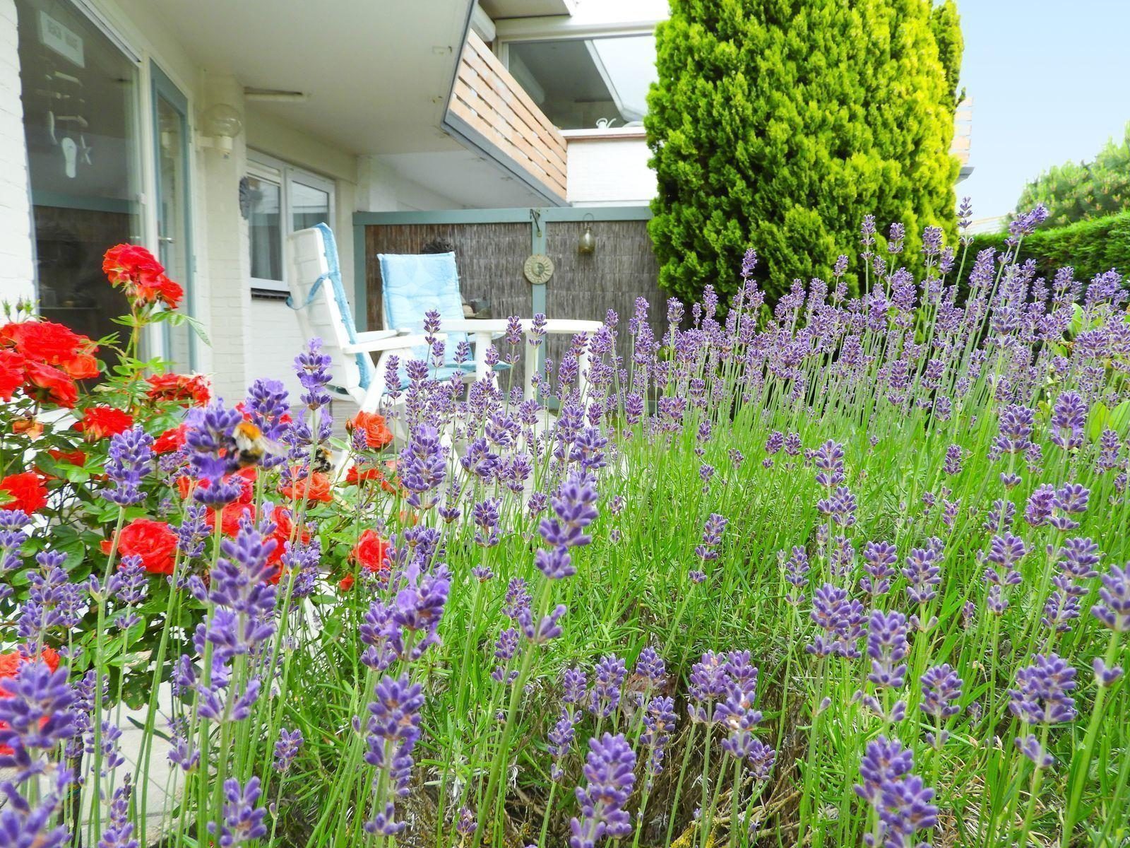 VZ420 Vakantieappartement Cadzand
