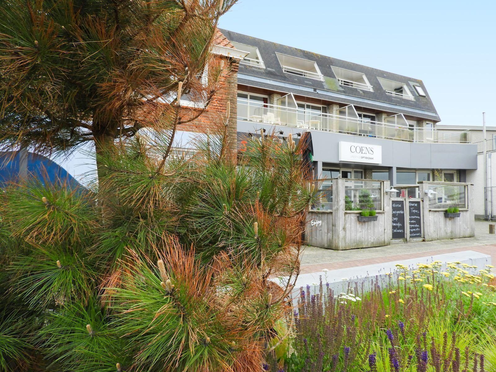 VZ569 Vakantiestudio Cadzand