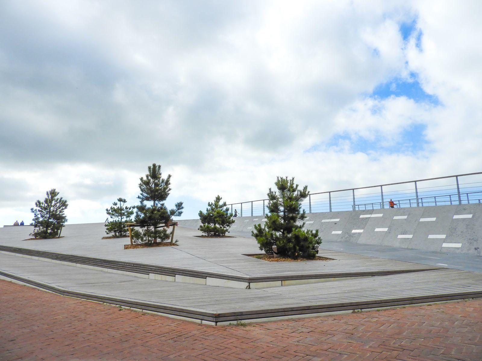 VZ569 Vakantiestudio Cadzand