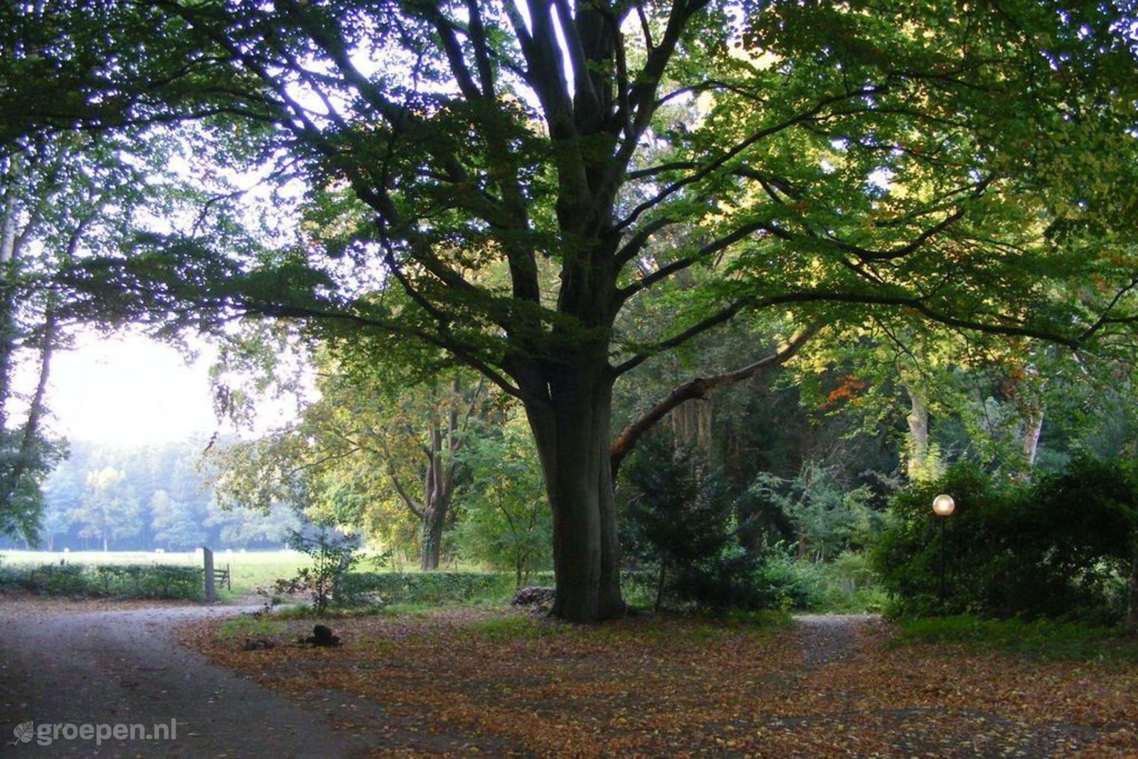 Frederiksoord
