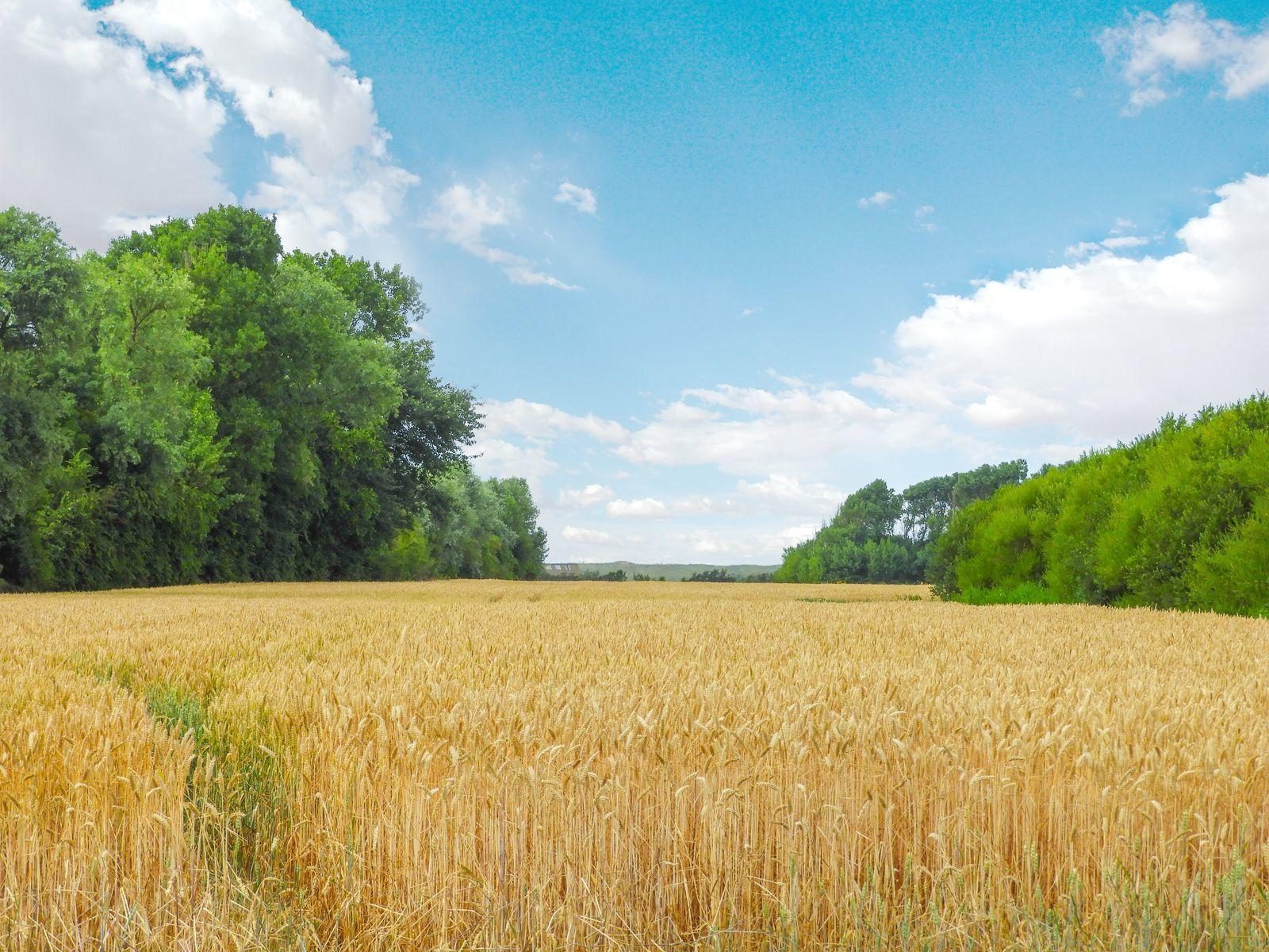 VZ130 Groepsaccommodatie Westkapelle