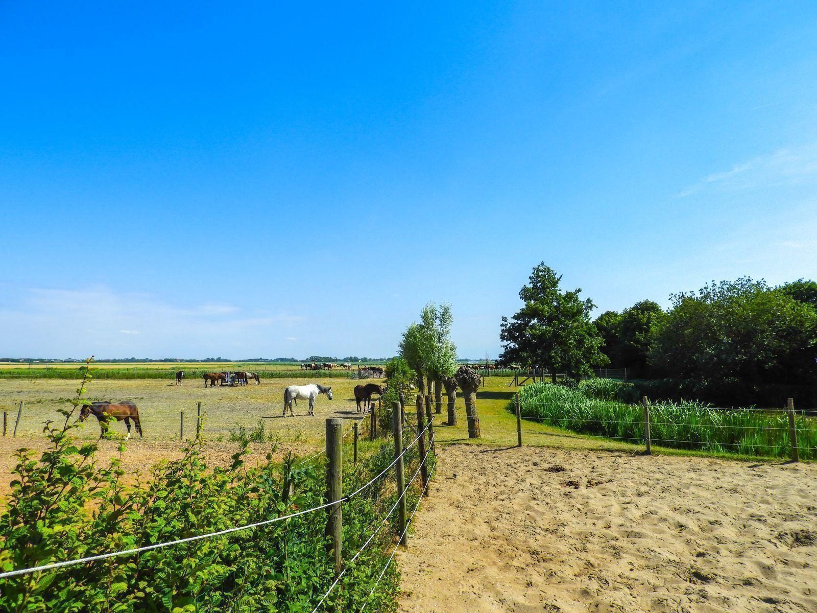 VZ720 Zomerstudio Aagtekerke