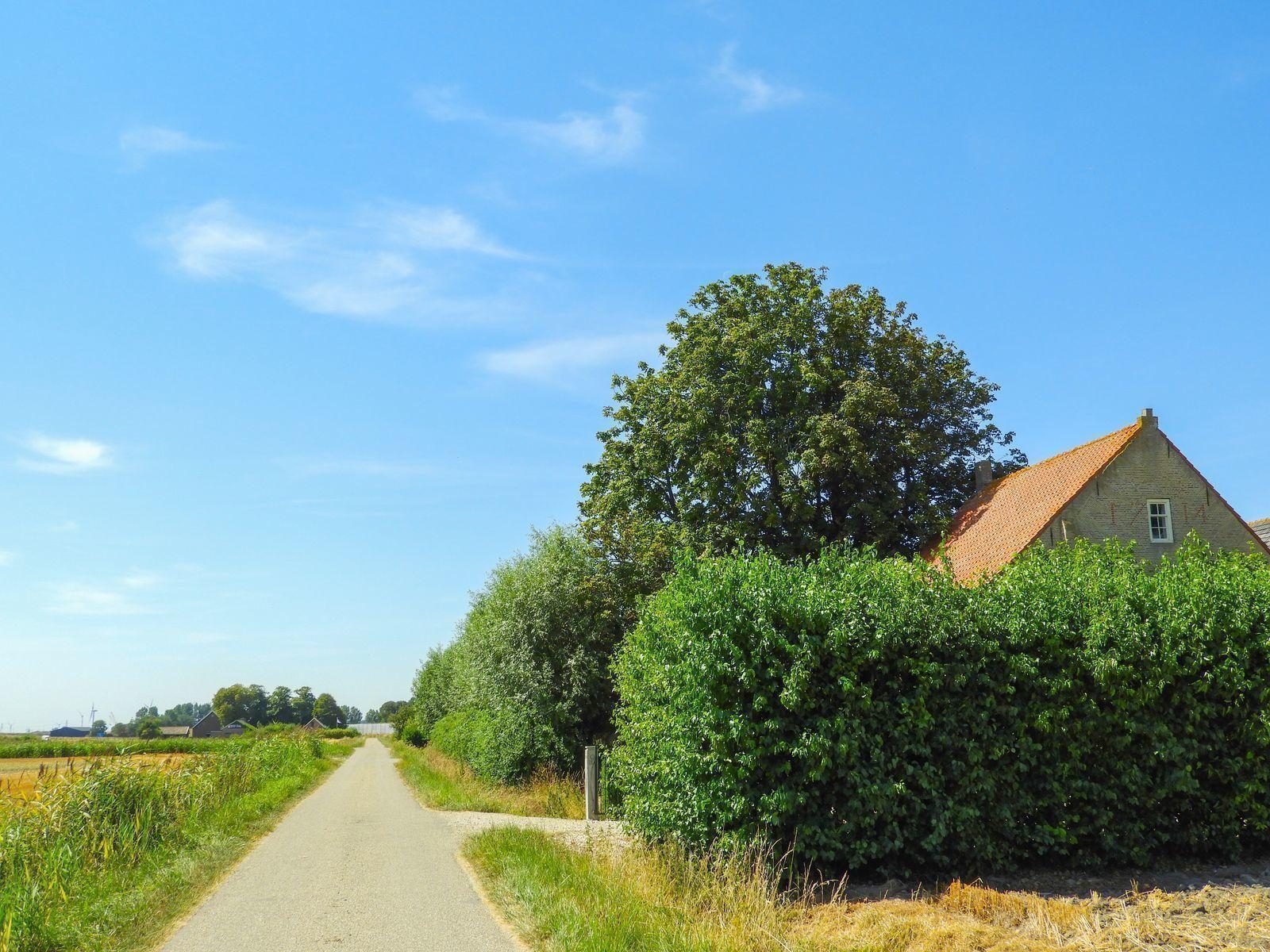 VZ595 Vakantieboerderij Borssele
