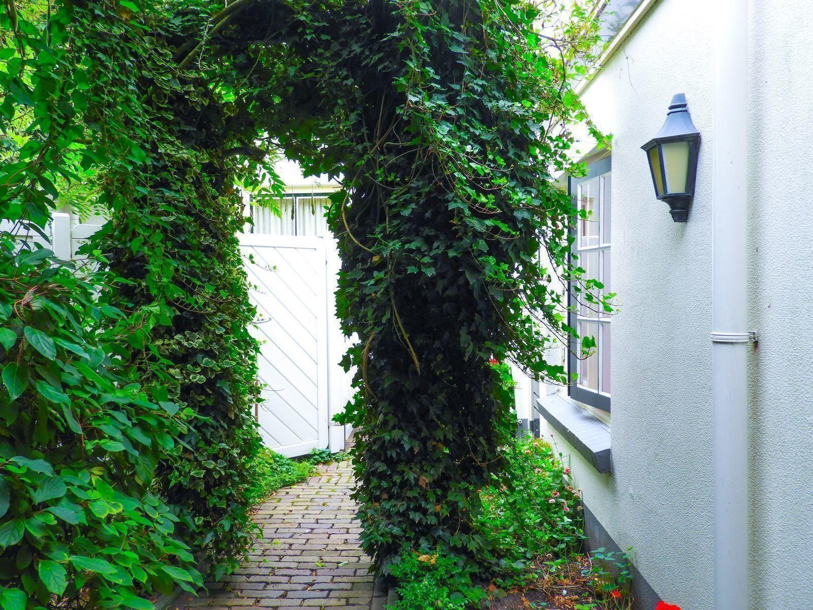 VZ231 Appartement Colijnsplaat