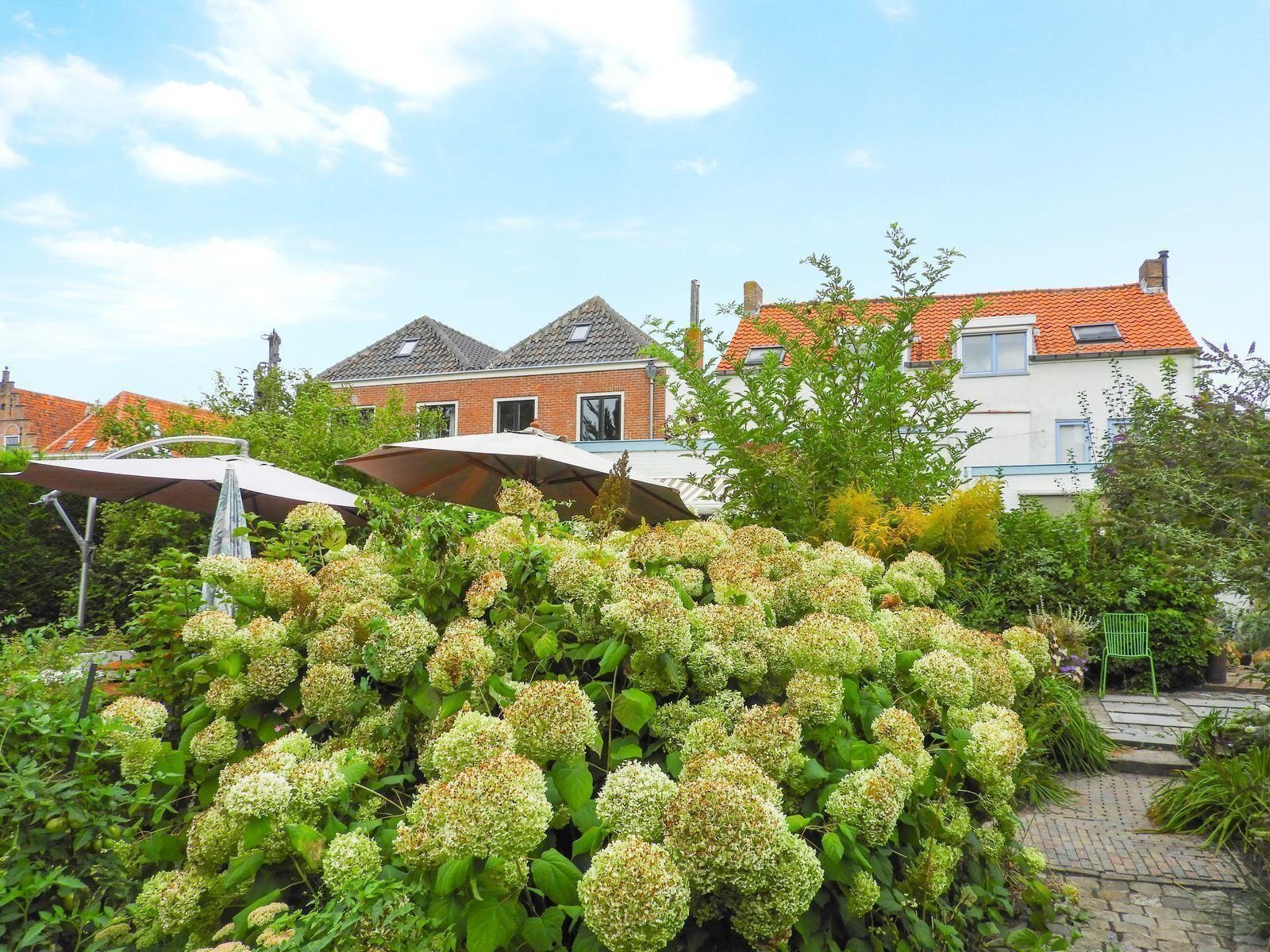 VZ052 Appartement Sluis