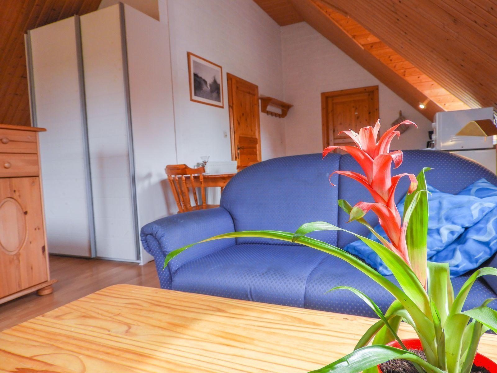 VZ025 Holiday studio Groede