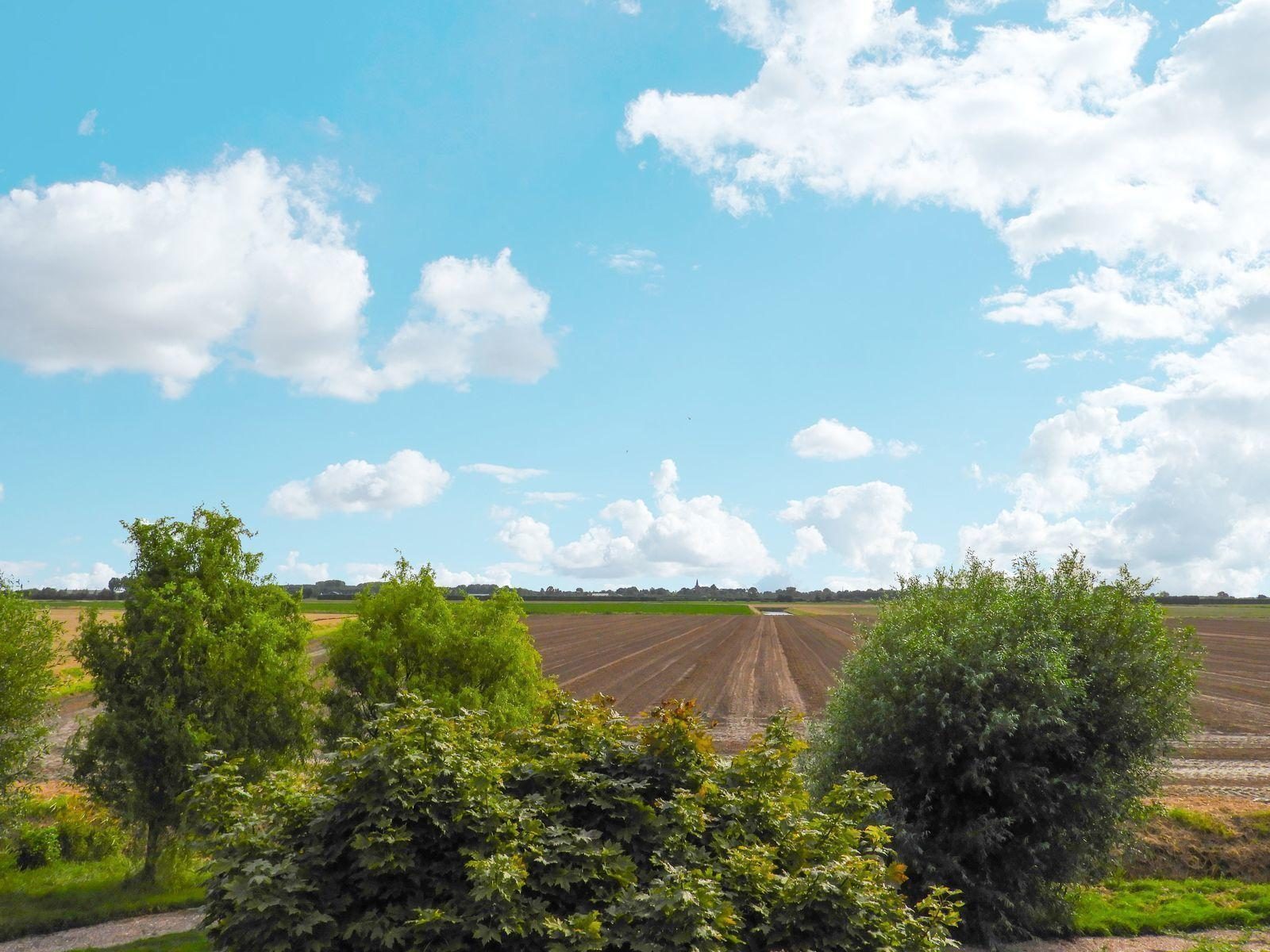 VZ526 Groepsaccommodatie Kattendijke