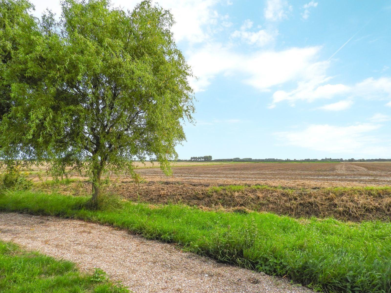 VZ526 Groepsaccommodatie Kattendijke