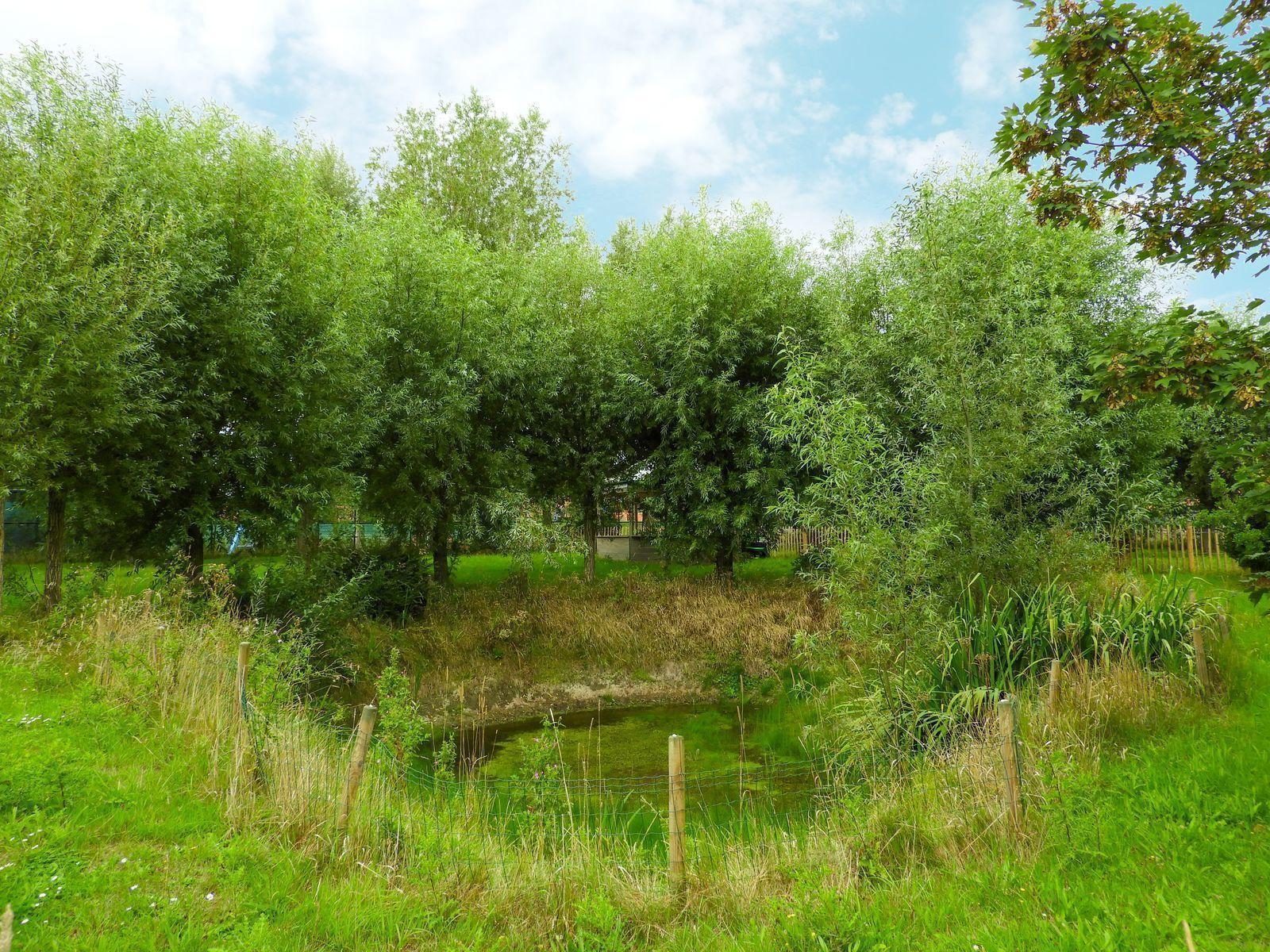 VZ504 Vakantiewoning Biggekerke