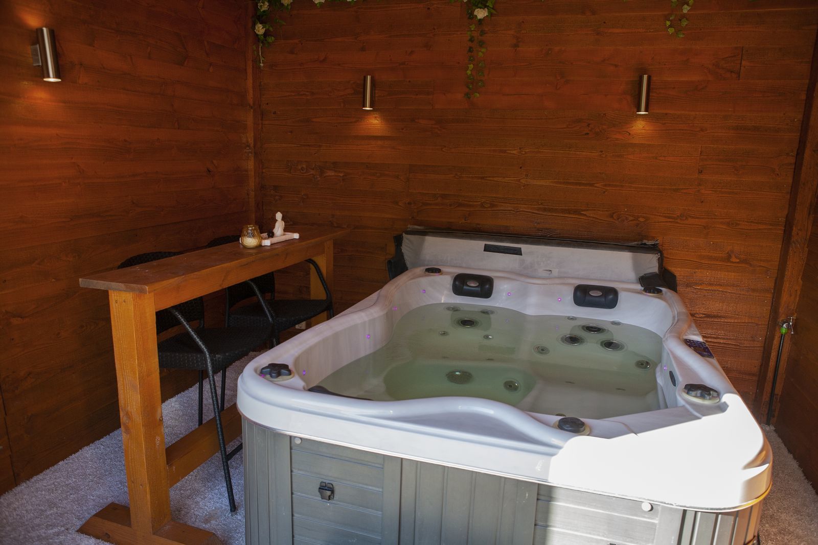 6-persoons Veluwelodge Wellness Plus