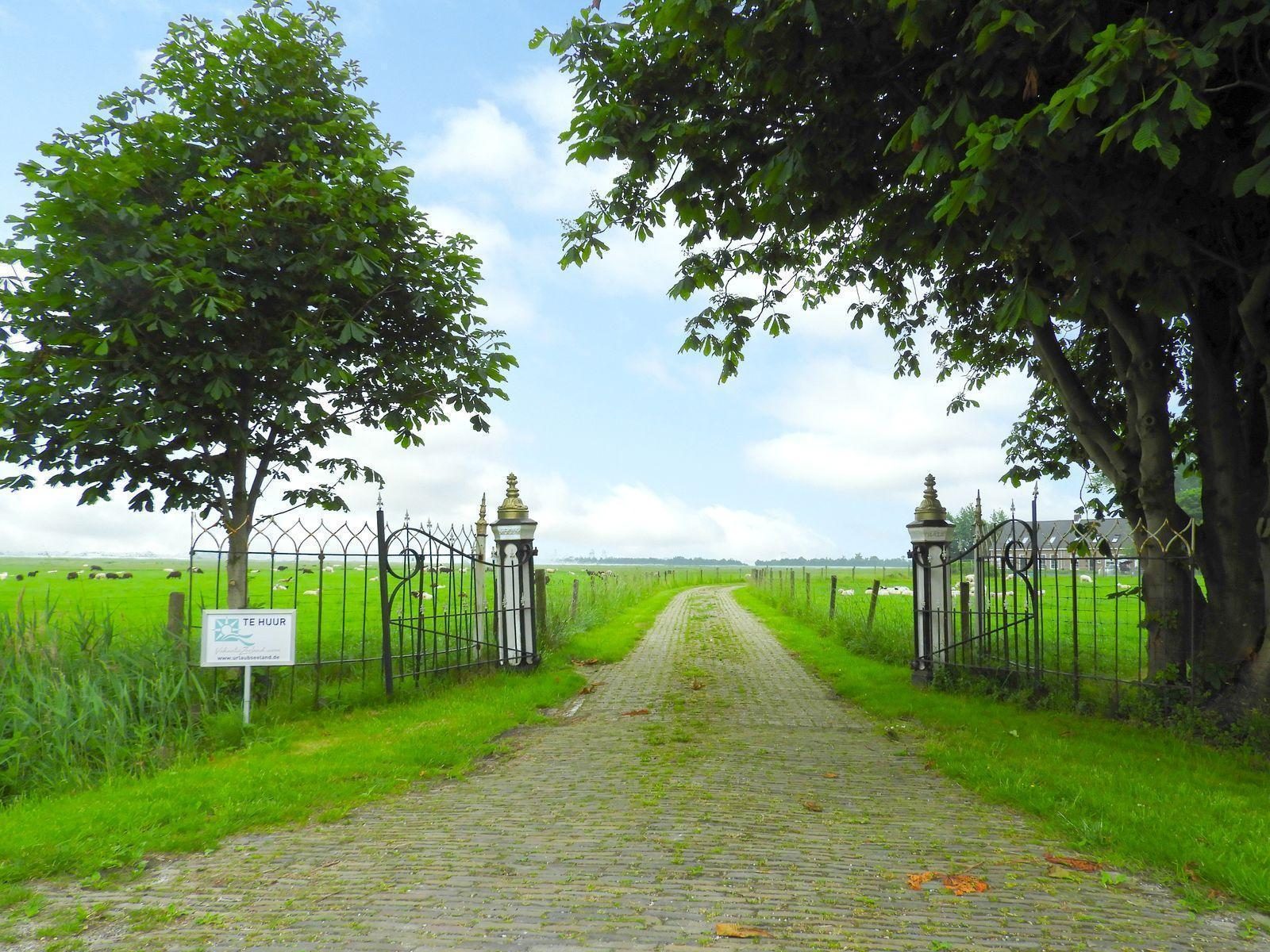 VZ646 Ferienhaus Grijpskerke