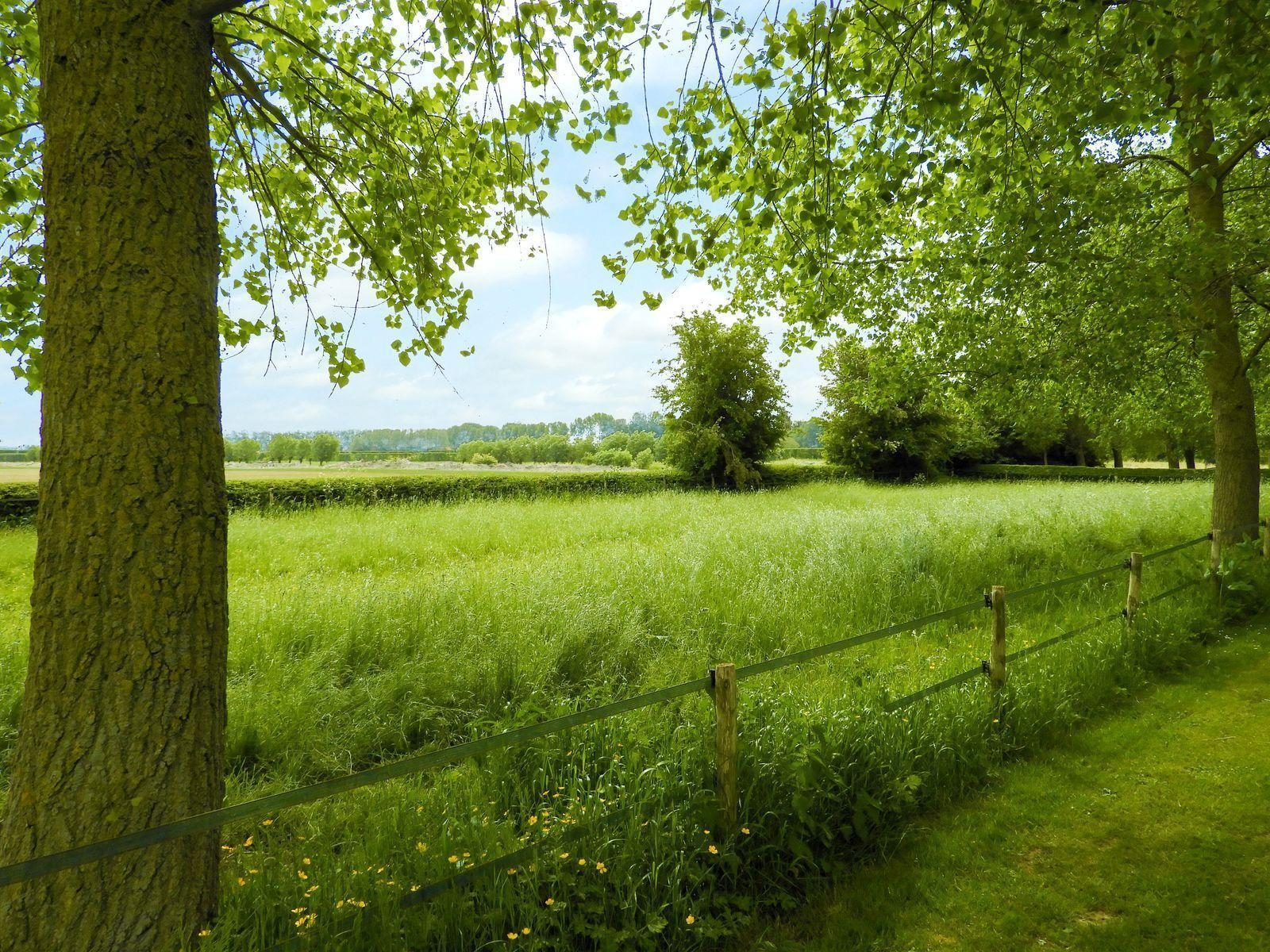 VZ089 Vakantiehuis Ovezande
