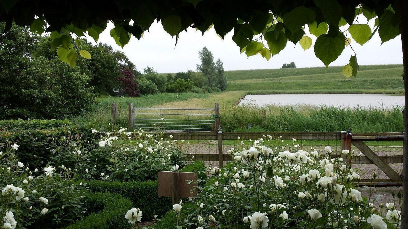 VZ736 Vakantiehuis Ellewoutsdijk