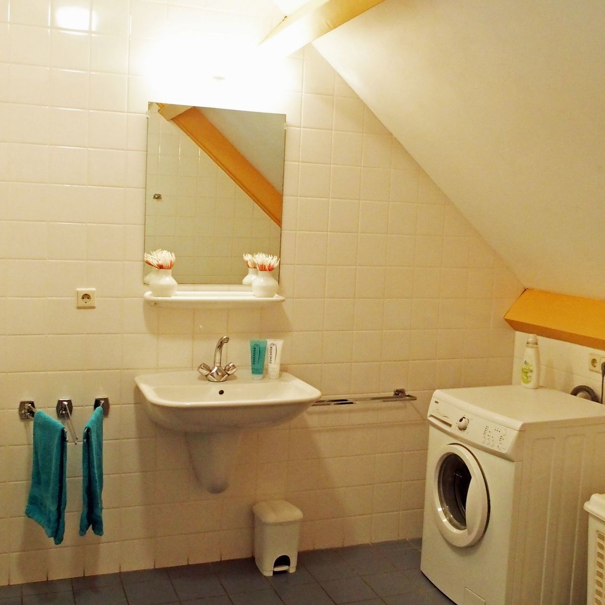 Ferienhaus Zeemeeuw