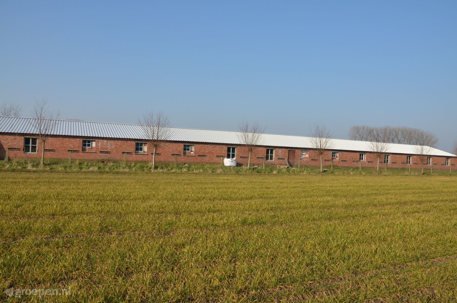 Lokeren
