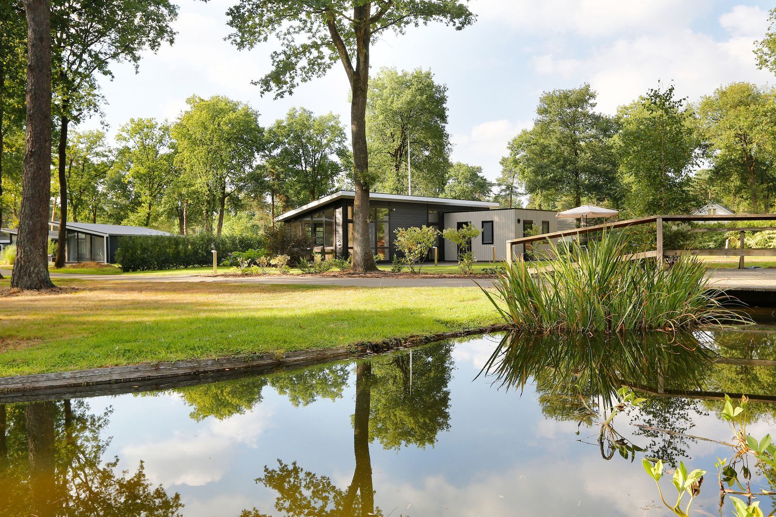 Bos Lodge C21 - 6 personen