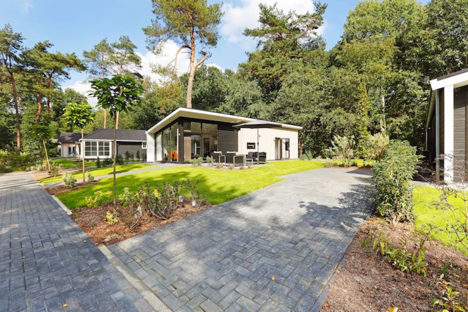 Bos Lodge C65 - 6 personen