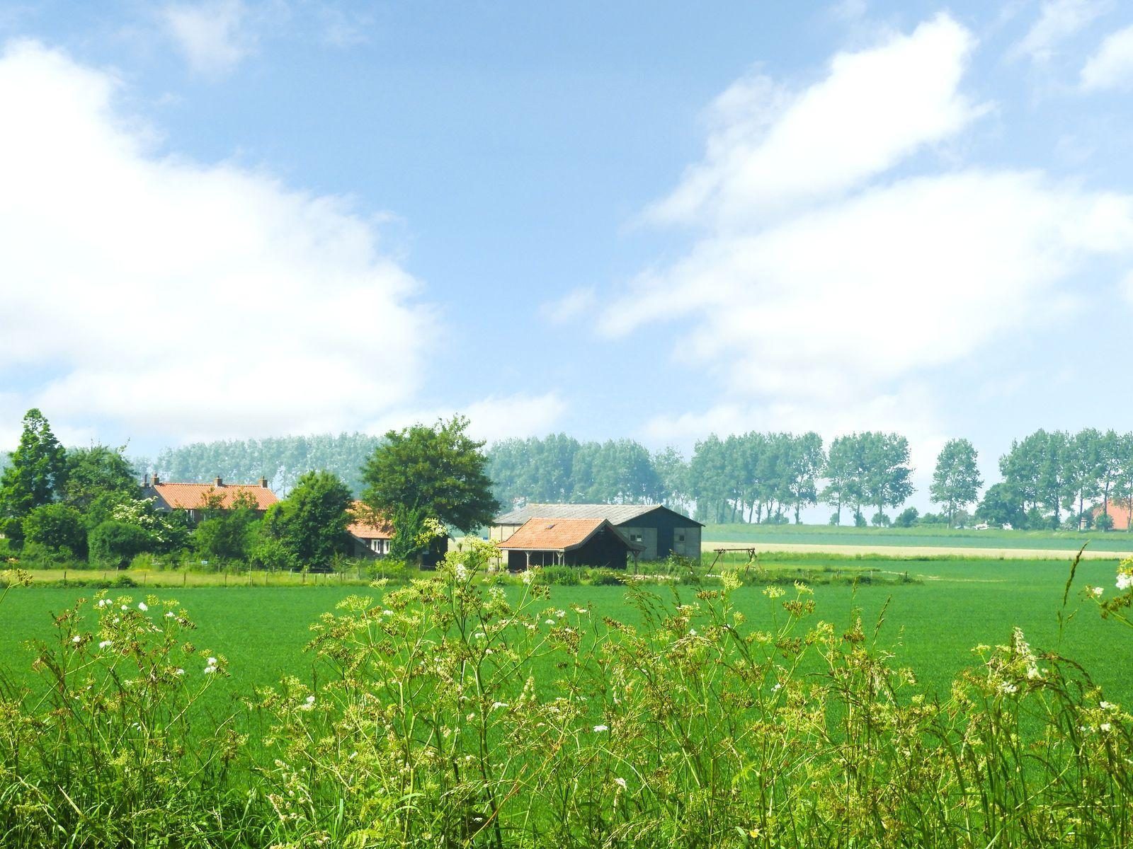 VZ108 Vakantiewoning Kamperland