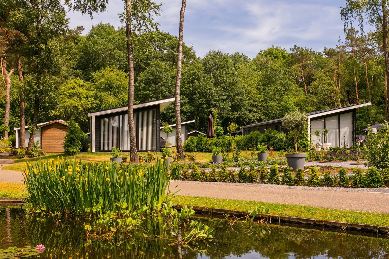 Bos Lodge - 5 personen